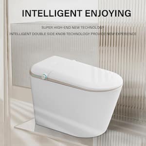 One Piece Bidet Toilet for Bathrooms Toilet with Warm Water Sprayer & Drye Heated Bidet Seat with Remote Control