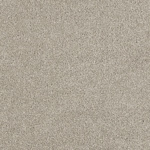 Moonlight  - Twinkle - Beige 32 oz. SD Polyester Texture Installed Carpet