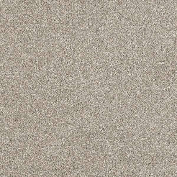 Home Decorators Collection Moonlight  - Twinkle - Beige 32 oz. SD Polyester Texture Installed Carpet