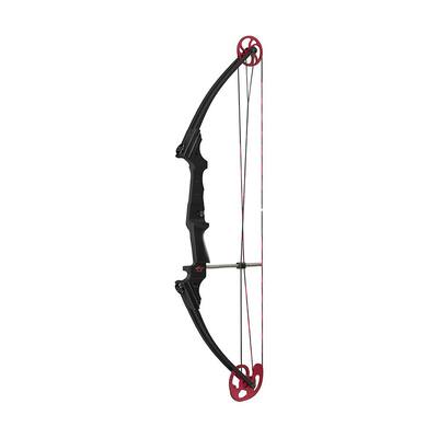 6 X 31" CARBON CAMO ARROWS RED NOCK FOR COMPOUND OR RECURVE BOW TARGET ARCHERY 