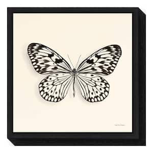 "Butterfly V BW Crop" by Debra Van Swearingen Framed Canvas Wall Art