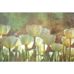 White Tulips Abstract Flowers Wall Mural