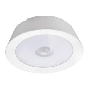 Indoor/ Outdoor 200 Lumen Battery Powered Motion Activated LED Ceiling Light, White