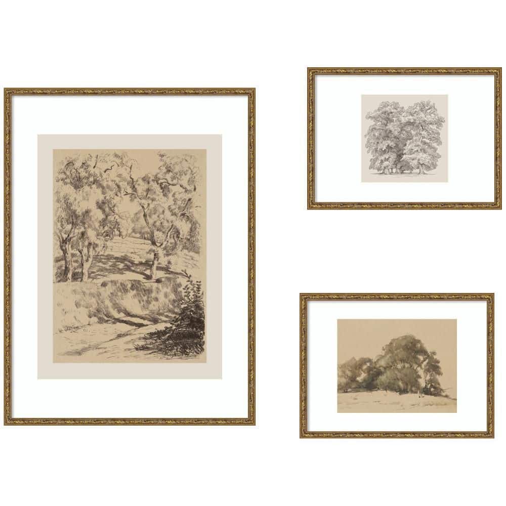 "3-Piece Belvedere ""Sketches of Nature"" by Nostalgia Prints Trees Framed Art Print Set 36 in. x 49 in." price history on PriceWatchPro