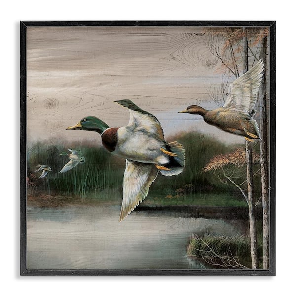 Stupell Industries Flying Ducks in Rustic Nature by Ruane Manning Black Framed Animal Giclee Art Print 24 in. x 24 in.