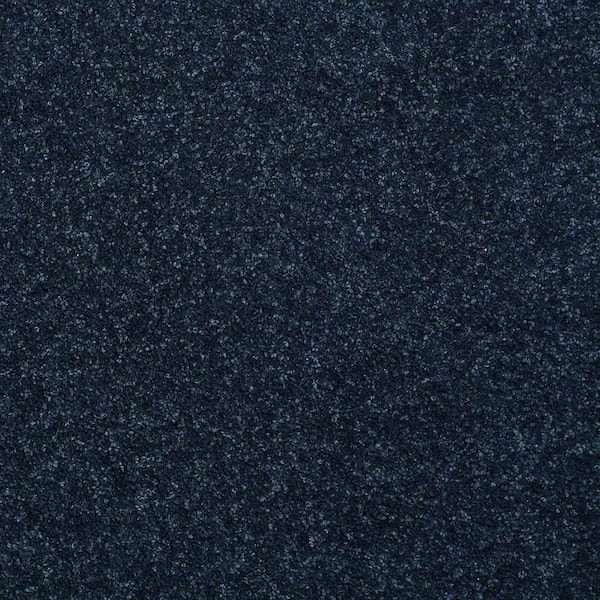 TrafficMaster 8 in. x 8 in. Texture Carpet Sample - Watercolors I - Color Starry Sky