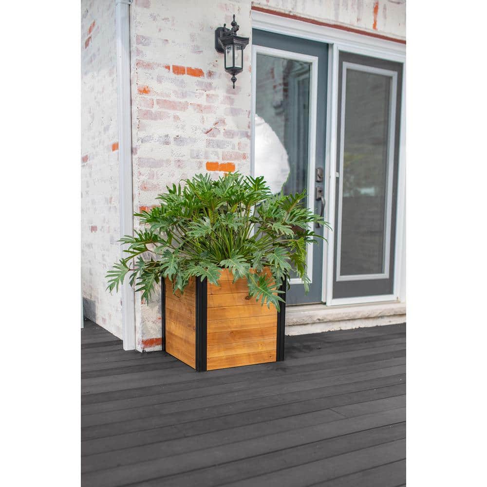 Mezza 22" Golden Brown Cedar Cube Planter with Modern Minimalist Design