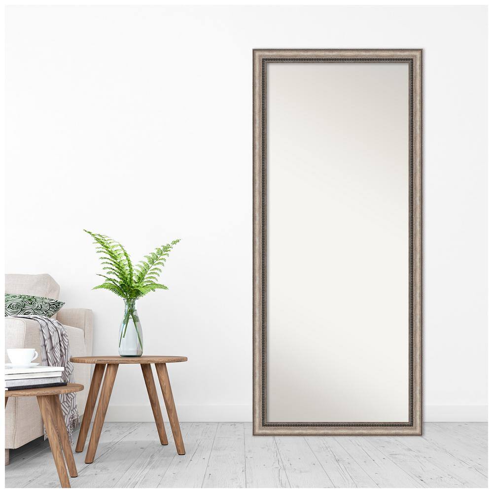 Elegant Full-Length Bronze and Silver Wood Framed Mirror