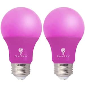 60-Watt Equivalent A19 Decorative Indoor/Outdoor LED Light Bulb in Pink (2-Pack)