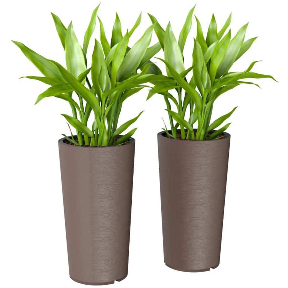 Large 15.4 in. Dia. Brown Plastic Flower Pots, Stackable High Planters ...