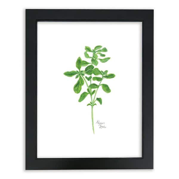 Unbranded Nature's Lace 2 "Oregano" by Alyssa Lewis Individual Black Framed Nature Art Print 24 in. x 18 in.