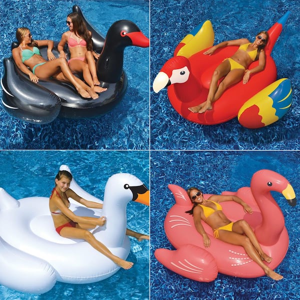 Swimline Giant White Swan Flamingo Black Swan and Parrot Swimming Pool Float Combo (4-Pack)