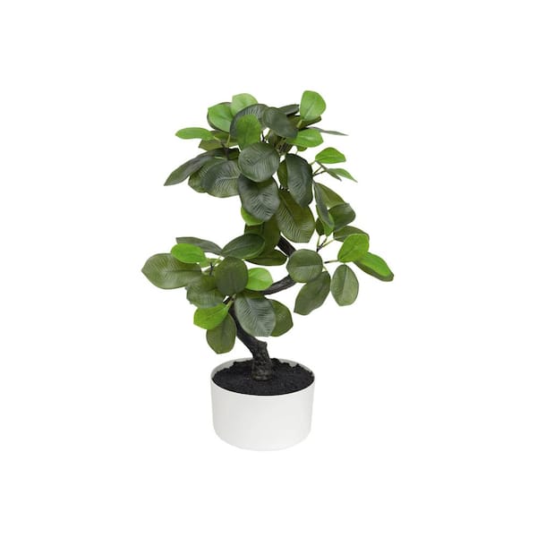 Algreen PRODUCTS 18 in. Artificial Snake Shape Ficus (6 in. x 3.1 in. H pot; 18 in. x 18 in. H)