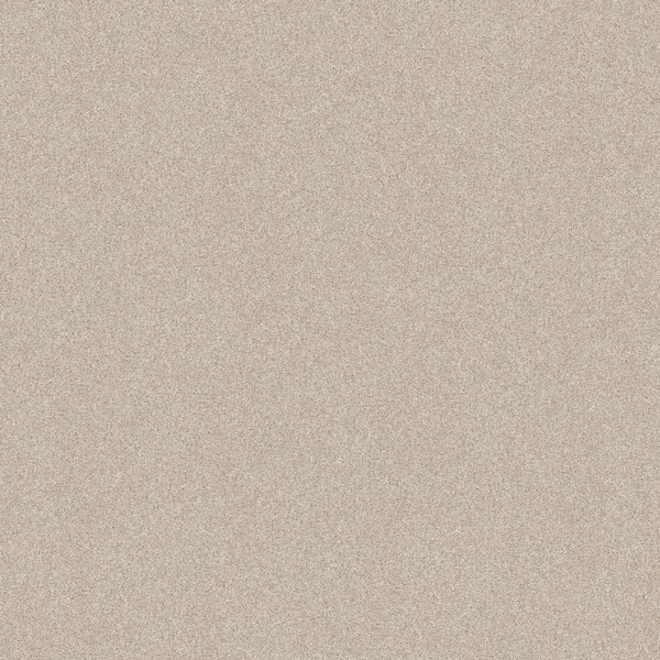 Coastal Charm II Color Parchment Beige 56 oz. Nylon Texture Installed Carpet