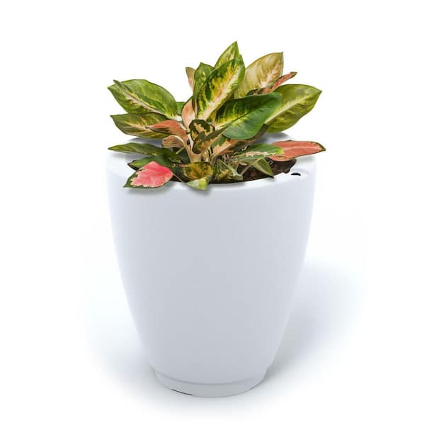 Caprio 18 in. Self-Watering White Polyethylene Planter