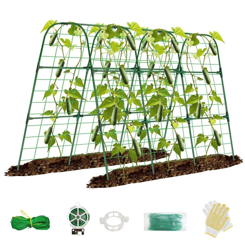 48 in. H x 48 in. L Metal Cucumber Trellis for Raised Bed, Garden Trellis f