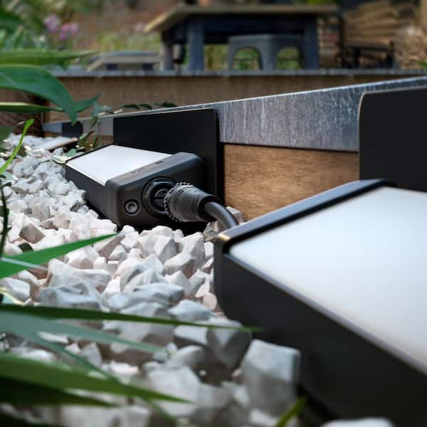 Philips Hue Amarant Black Color Changing Low Voltage Plug-In