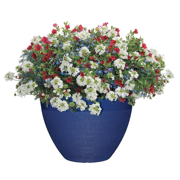 Decatur 20 in. Sapphire Blue Resin Planter