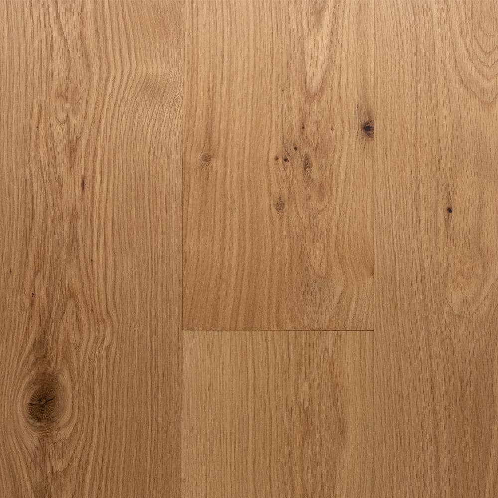 Home Decorators Collection Natural White Oak 3/8 in. T x 7.5 in. W ...