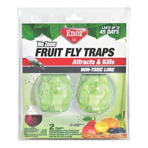 Fruit Fly Traps (2-Pack)