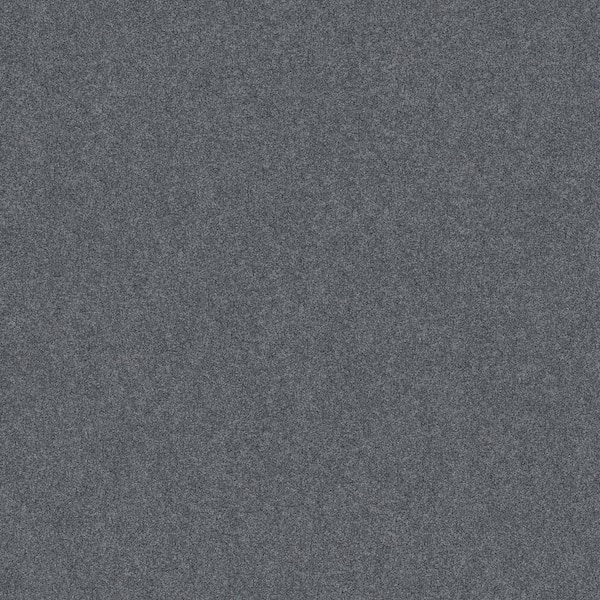 Coastal Charm II Color Ocean Villa Blue 56 oz. Nylon Texture Installed Carpet