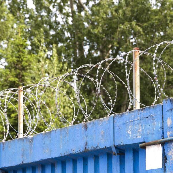 Jushua 19 in. H Steel Garden Fence, 246 ft. 5 Coils 49 ft