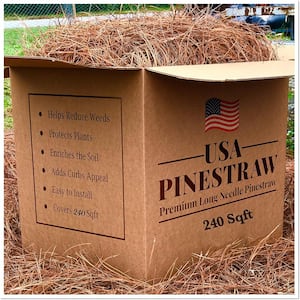 Box of 240 Sq.ft. Long Needle Pine Straw Mulch
