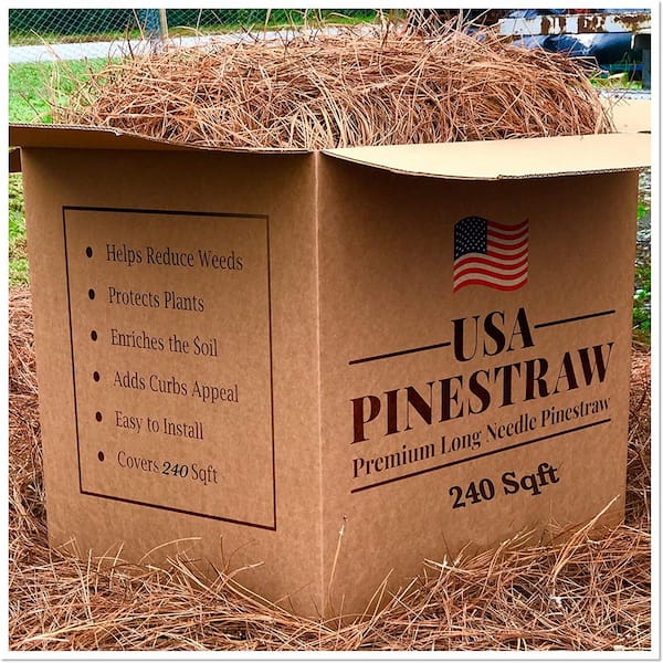 USA PINESTRAW Box of 240 Sq.ft. Long Needle Pine Straw Mulch