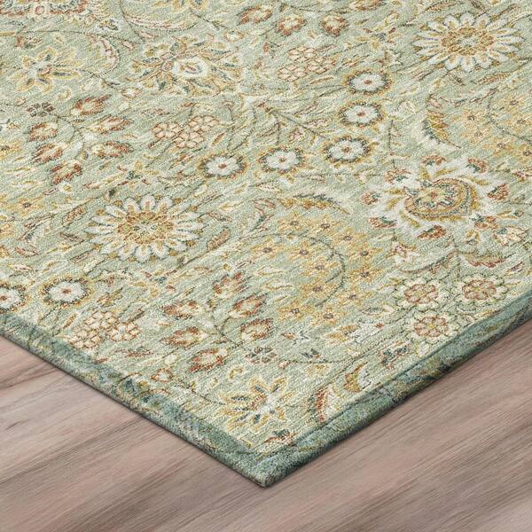 Chantille Machine Washable Indoor/Outdoor Abstract ACN3101 Celery 3 ft. x 4 ft. Area Rug