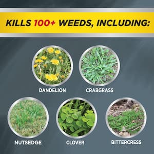 24 oz. 8,000 sq. ft. All-In-One Lawn Weed Killer Concentrate for 100-Plus Weed Types