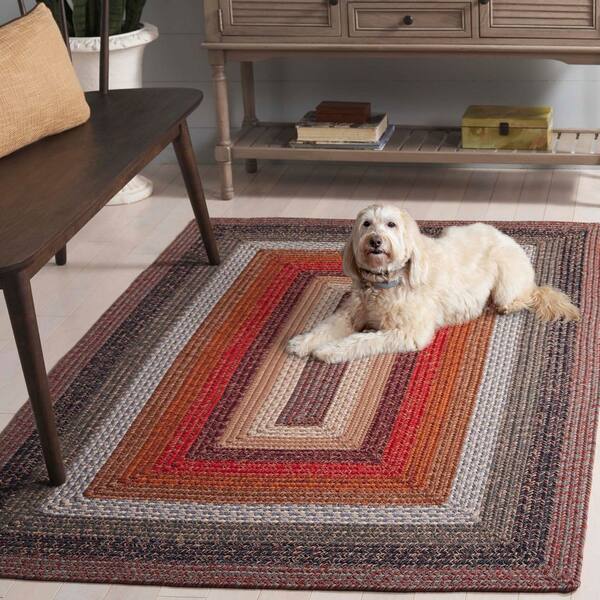 SAFAVIEH Braided Brown/Rust 4 ft. x 6 ft. Machine Washable