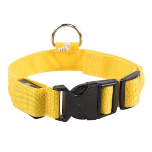 Night Walking Light Up LED Dog Collar for Large Dogs, Yellow, L