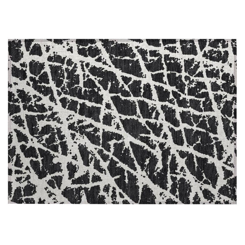Black and White 2 ft. x 3 ft. Abstract Indoor/Outdoor Area Rug price history on PriceWatchPro