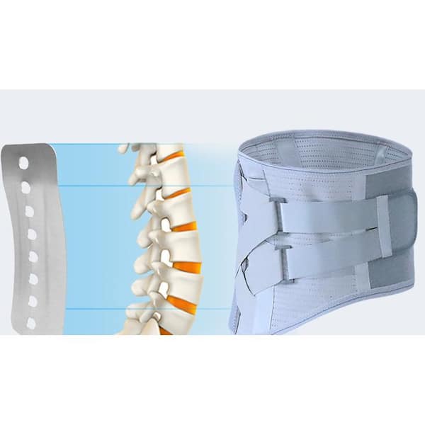 Back Suport Brace - PRO #250 Lumbar-Sacral Back Support Belt