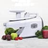 Tribest Greenstar Pro Twin Gear White Slow Masticating Juicer GS-P501-B -  The Home Depot