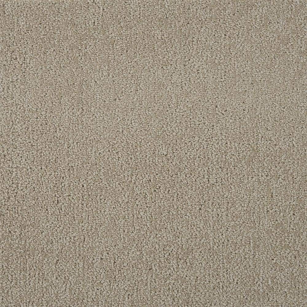 6 in. x 6 in. Texture Carpet Sample - Feather - Color Pottery price history on PriceWatchPro