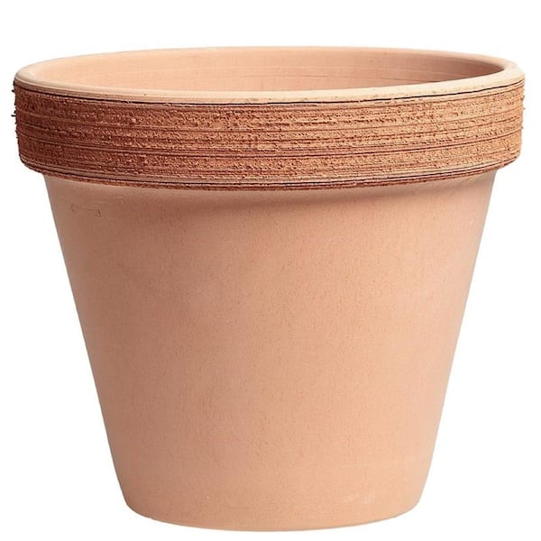 テラコッタ561 Mission Terracotta 3