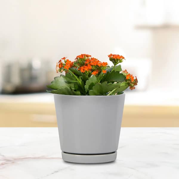 6 in. Piedmont Small Gray Ceramic Planter (6 in. D x 5.7 in. H) with Drainage Hole and Attached Saucer