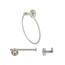 https://images.thdstatic.com/productImages/fb5899b4-7763-4500-a3d9-9239bfa18a9d/svn/brushed-nickel-italia-bathroom-hardware-sets-ve234bnset-64_65.jpg