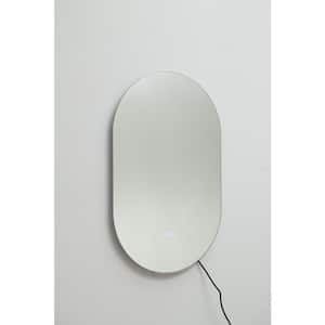 20 in. W x 32 in. H Silver Oval Bathroom Wall Mirror Mounted Makeup Mirror with Lights And Anti-Fog