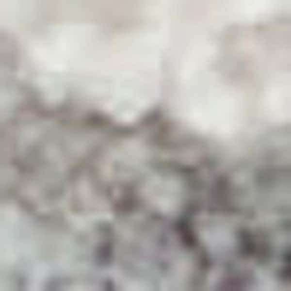 8 ft. x 10 ft. Ivory and Gray Floral Power Loom Area Rug