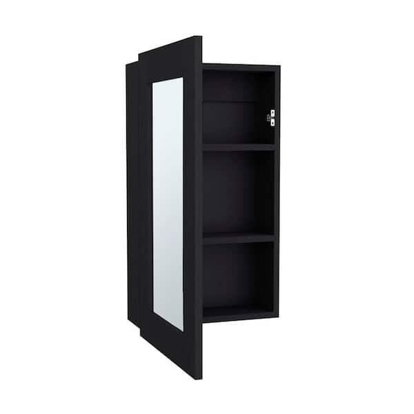 15.3 in. W x 25.7 in. H Rectangular Engineered Wood Surface Mount Medicine Cabinet with Mirror in Black