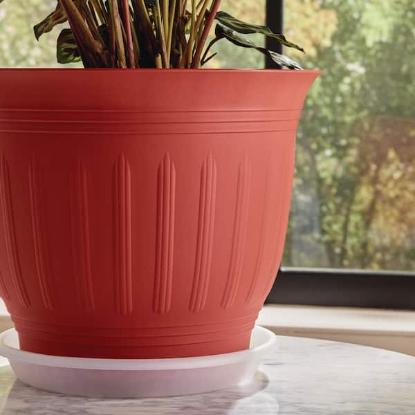 Vigoro 8 in. W x 1 in. H Clear Heavy-Duty Plastic Plant Saucer PL-HD-PC22 -  The Home Depot
