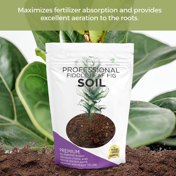 LEAVES AND SOUL Fiddle Leaf Fig Soil, 8.2 qt. Premium Blend, Ready to Use,  Peat, Sawdust, Coarse Sand, Pine Bark B096WFXG84 - The Home Depot