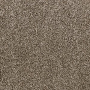 Affectionate II - Comrade - Beige 55 oz. SD Polyester Texture Installed Carpet