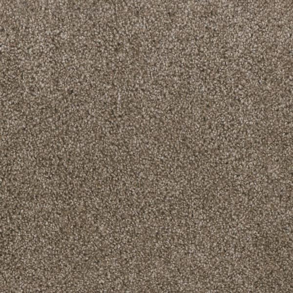 Home Decorators Collection Affectionate II - Comrade - Beige 55 oz. SD Polyester Texture Installed Carpet