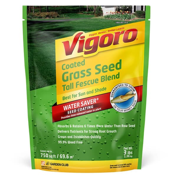 Photo 1 of 3 lbs. Tall Fescue Grass Seed Blend with Water Saver Seed Coating