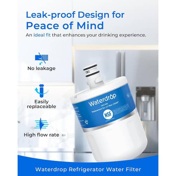 B-WD-LT500P-1,Refrigerator Water Filter,Replacement for LG LT500P, GEN11042FR-08,ADQ72910911,ADQ72910901, Kenmore 9890