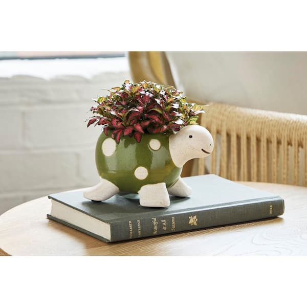 Turtle Small Green Indoor Ceramic Planter with Drainage Holes (5.51 in. L x 3.5 in. W x 3.54 in. H)