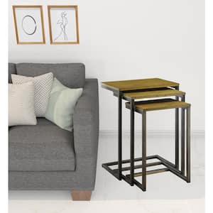 Charlie 18 in. Gold Rectangle Glass End Table